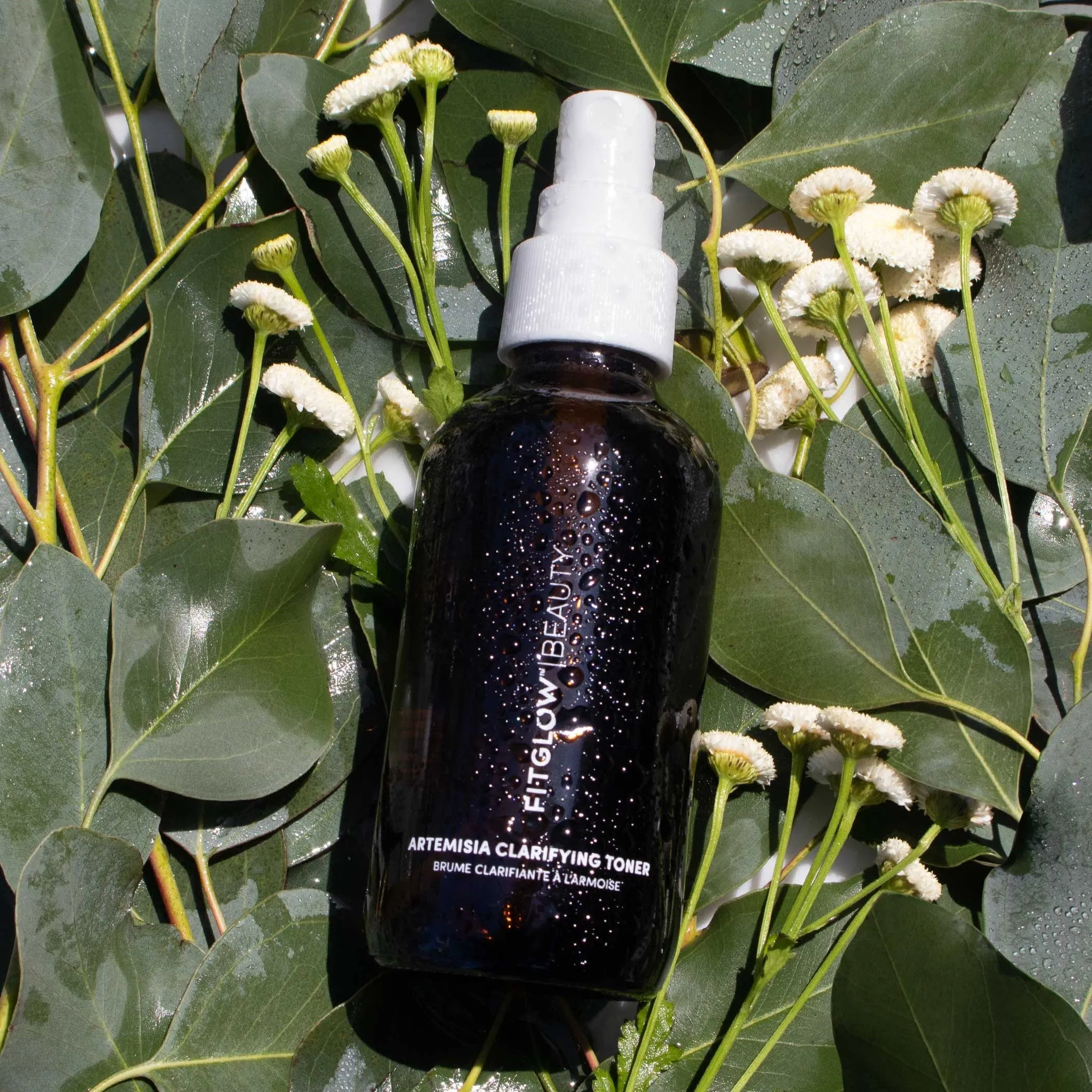 FITGLOW BEAUTY - Artemisia Clarifying Toner