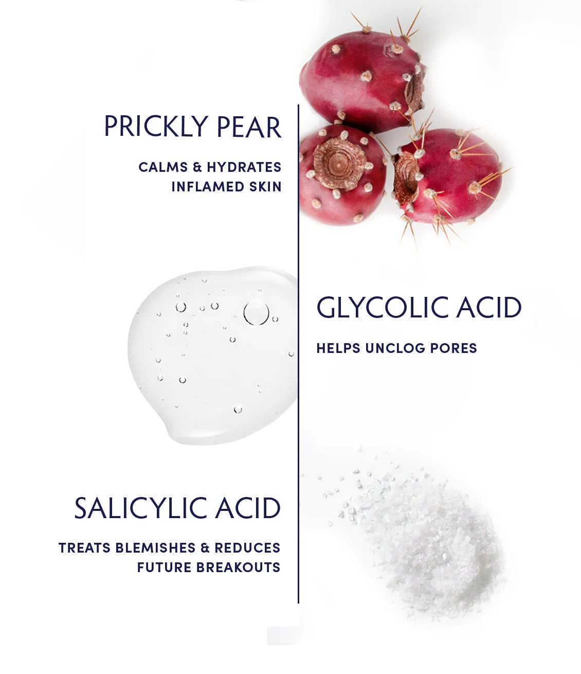 Prickly Pear & Salicylic Acid Acne Clearing Tonic