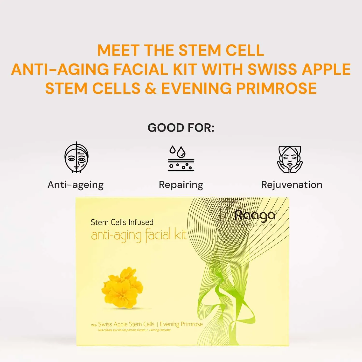 Raaga Professional Stem Cells Infused Anti Aging 6 Step Facial Kit | Evening Primrose, Swiss Apple Stem Cells | Youthful Radiance (61 gm)