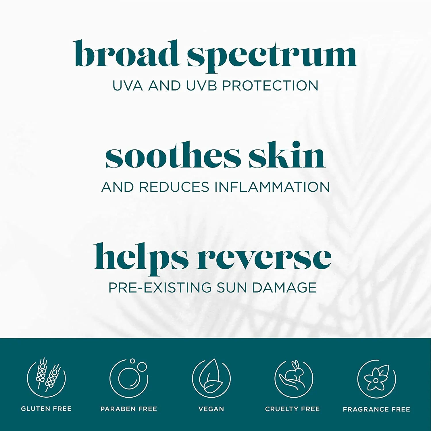 SPF 50 Daily UV Defense Broad Spectrum Sunscreen